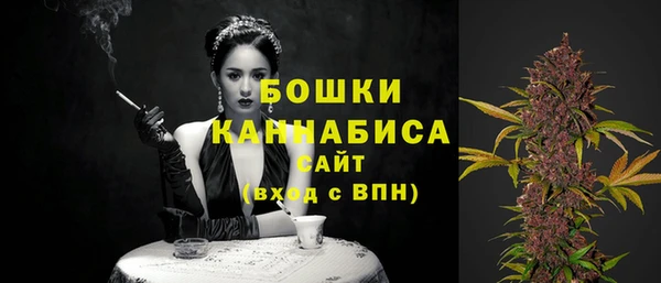 прущие грибы Бугульма