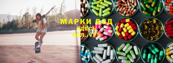 гидра Верея