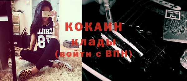 прущие грибы Бугульма
