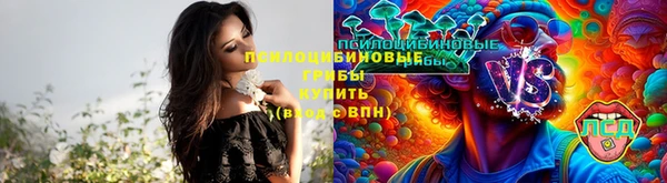 гидра Верея